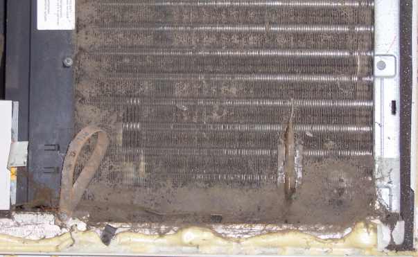 Photo of dirty evaporator clogged with dirt.